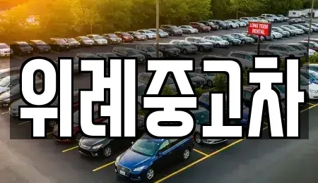 서울 송파구 장지동 중고차 전문 위례중고차