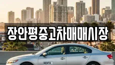 서울 송파구 장지동 중고차 전문 장안평중고차매매시장