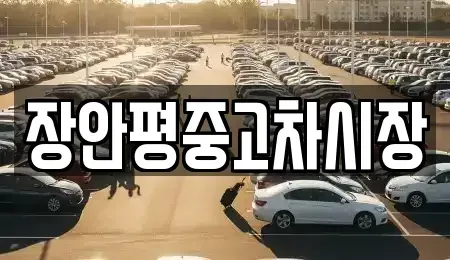 서울 송파구 장지동 중고차 전문 장안평중고차시장