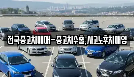 서울 송파구 장지동 중고차매입 전문 전국중고차매매-중고차수출,사고노후차매입