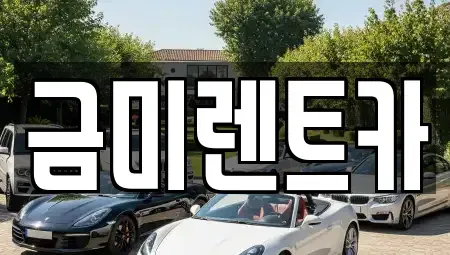 서울 영등포구 양화동 렌트카 전문 금미렌트카