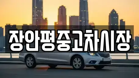 서울 영등포구 양화동 중고차 전문 장안평중고차시장
