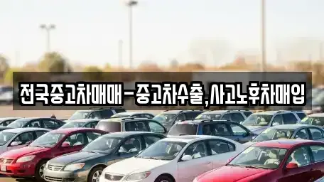 서울 영등포구 양화동 중고차매입 전문 전국중고차매매-중고차수출,사고노후차매입