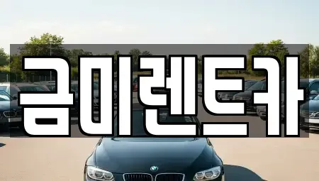 서울 영등포구 영등포동6가 렌트카 전문 금미렌트카