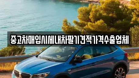 서울 용산구 중고차매입 전문 중고차매입시세내차팔기견적가격수출업체
