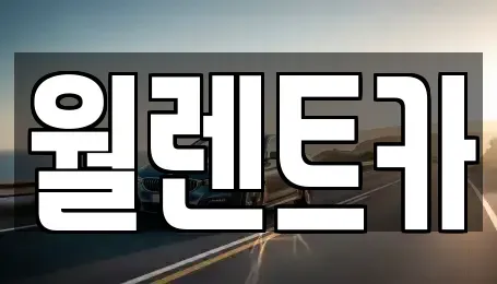 서울 용산구 한강로1가 렌트카 전문 월렌트카