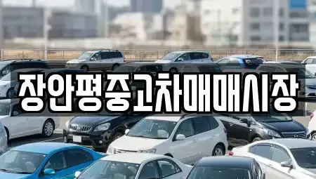 서울 용산구 한강로1가 중고차 전문 장안평중고차매매시장