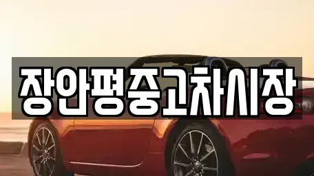 서울 용산구 한강로1가 중고차매매 전문 장안평중고차시장