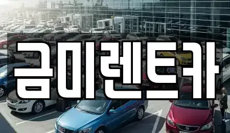 서울 종로구 내수동 렌트카 전문 금미렌트카