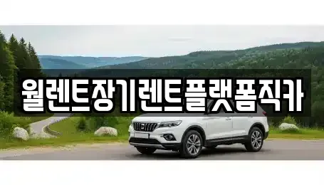 서울 종로구 내수동 장기렌트카 전문 월렌트장기렌트플랫폼직카