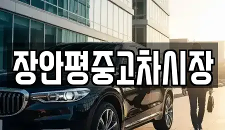 서울 종로구 내수동 중고차매매 전문 장안평중고차시장