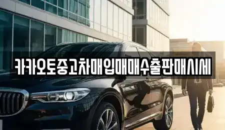 서울 종로구 내수동 중고차매매 전문 카카오토중고차매입매매수출판매시세