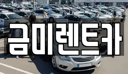 서울 종로구 평동 렌트카 전문 금미렌트카