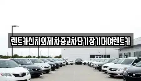서울 중구 광희동1가 장기렌트카 전문 렌트카신차외제차중고차단기장기대여렌트카