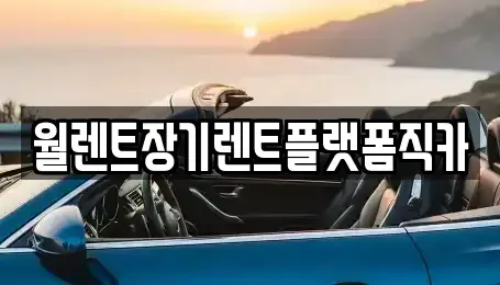 서울 중구 광희동1가 장기렌트카,중고차,렌트카,단기렌트카,중고차매입,중고차매매