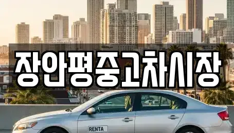 서울 중구 광희동1가 중고차 전문 장안평중고차시장