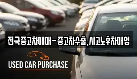 서울 중구 광희동1가 중고차 전문 전국중고차매매-중고차수출,사고노후차매입