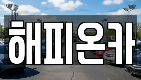 서울 중구 광희동1가 중고차 전문 해피온카