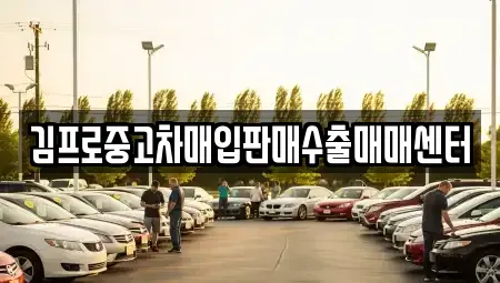 서울 중구 광희동1가 중고차매입 전문 김프로중고차매입판매수출매매센터