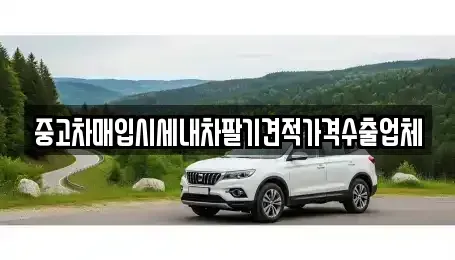 서울 중구 광희동1가 중고차매입 전문 중고차매입시세내차팔기견적가격수출업체