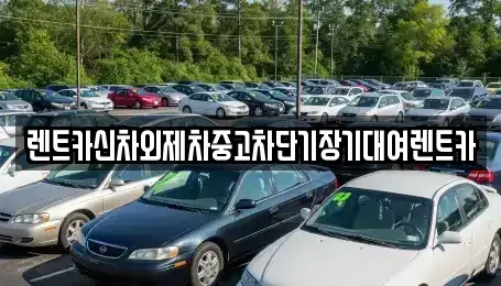 서울 중구 산림동 단기렌트카 전문 렌트카신차외제차중고차단기장기대여렌트카