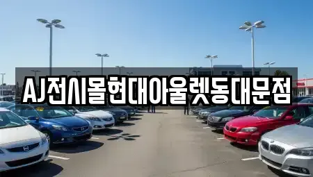 서울 중구 산림동 렌트카 전문 AJ전시몰현대아울렛동대문점