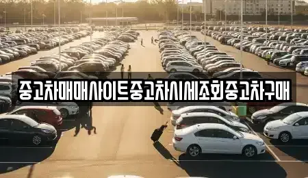 서울 중구 산림동 중고차 전문 중고차매매사이트중고차시세조회중고차구매