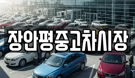 서울 중구 산림동 중고차매매 전문 장안평중고차시장