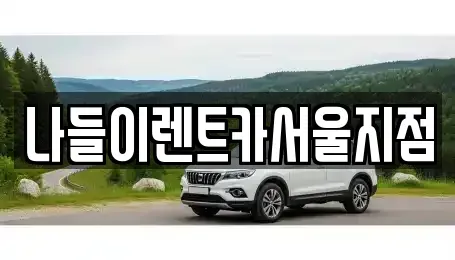 서울특별시 강남구 청담동 렌트카 전문 나들이렌트카서울지점