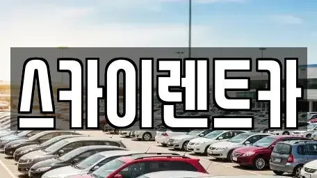 서울특별시 강남구 청담동 렌트카 전문 스카이렌트카