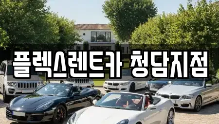 서울특별시 강남구 청담동 렌트카 전문 플렉스렌트카 청담지점