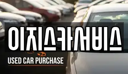 서울특별시 강남구 청담동 중고차매매 전문 이지스카서비스