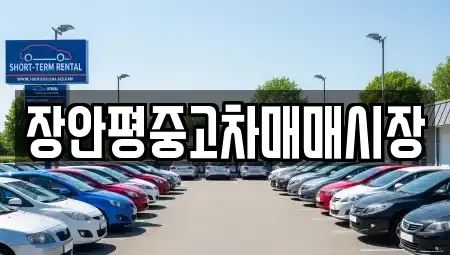 서울특별시 강남구 청담동 중고차매매 전문 장안평중고차매매시장