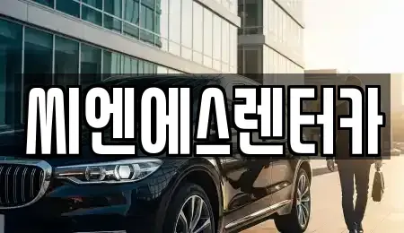 서울특별시 강서구 마곡동 렌트카 전문 씨엔에스렌터카