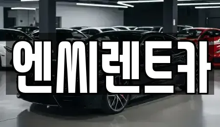 서울특별시 강서구 마곡동 장기렌트카 전문 엔씨렌트카
