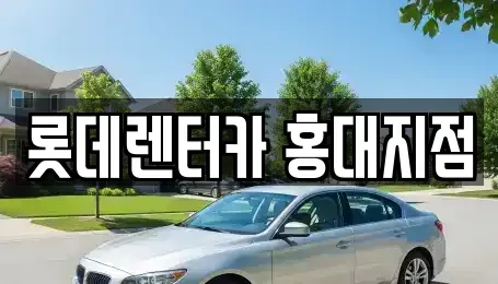 서울특별시 마포구 동교동 단기렌트카 전문 롯데렌터카 홍대지점