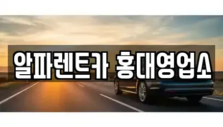 서울특별시 마포구 동교동 렌트카 전문 알파렌트카 홍대영업소
