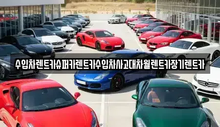 서울특별시 마포구 동교동 장기렌트카 전문 수입차렌트카슈퍼카렌트카수입차사고대차월렌트카장기렌트카