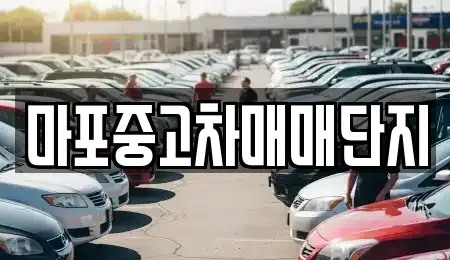 서울특별시 마포구 동교동 중고차 전문 마포중고차매매단지