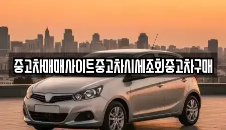 서울특별시 마포구 동교동 중고차매매 전문 중고차매매사이트중고차시세조회중고차구매