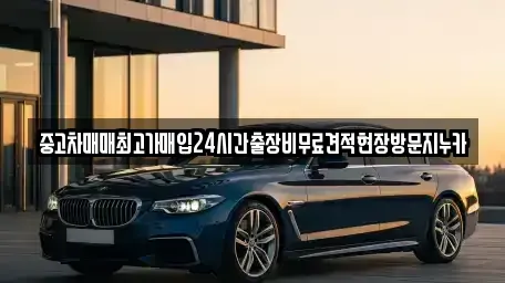 서울특별시 마포구 동교동 중고차매매 전문 중고차매매최고가매입24시간출장비무료견적현장방문지누카