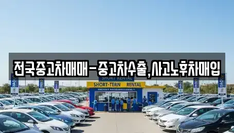 서울특별시 마포구 동교동 중고차매입 전문 전국중고차매매-중고차수출,사고노후차매입
