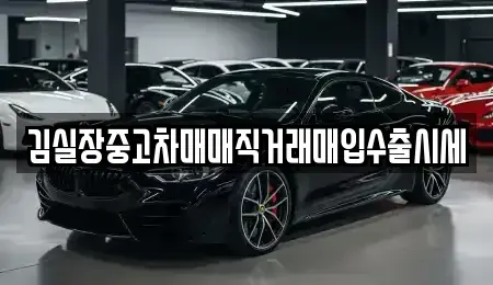 서울특별시 마포구 창전동 중고차 전문 김실장중고차매매직거래매입수출시세