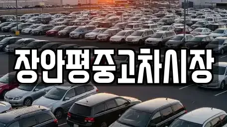 서울특별시 마포구 창전동 중고차 전문 장안평중고차시장