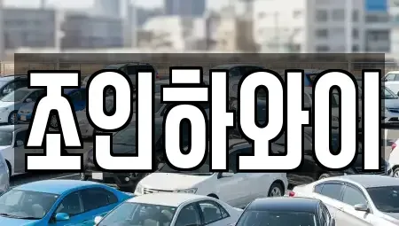 서울특별시 서대문구 냉천동 렌트카 전문 조인하와이