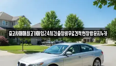 서울특별시 서대문구 냉천동 중고차 전문 중고차매매최고가매입24시간출장비무료견적현장방문지누카