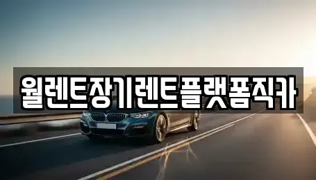 서울특별시 서대문구 충정로2가 장기렌트카 전문 월렌트장기렌트플랫폼직카