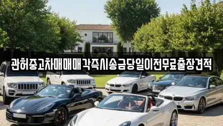 서울특별시 서대문구 충정로2가 중고차매매 전문 관허중고차매매매각즉시송금당일이전무료출장견적