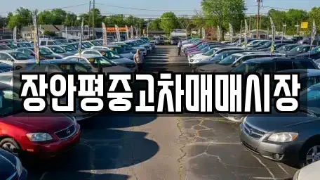 서울특별시 서대문구 충정로2가 중고차매매 전문 장안평중고차매매시장