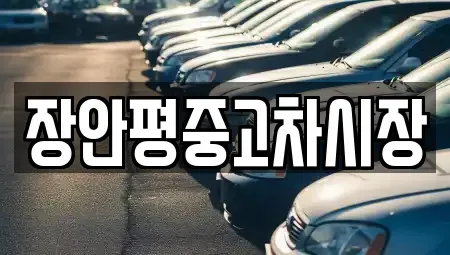 서울특별시 서대문구 충정로2가 중고차매매 전문 장안평중고차시장